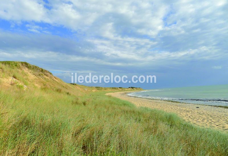 Photo 8: An accomodation located in Saint-Clément-des-Baleines on ile de Ré.