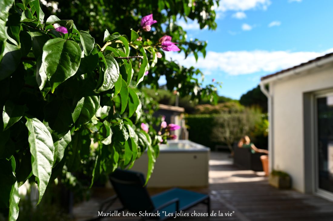 Photo 55: An accomodation located in Le Bois-Plage-en-Ré on ile de Ré.