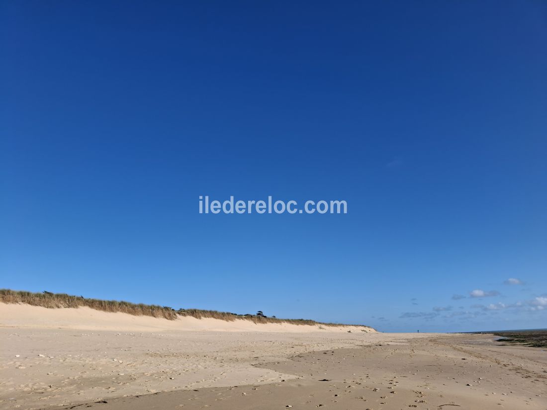 Photo 21: An accomodation located in Ars en Ré on ile de Ré.