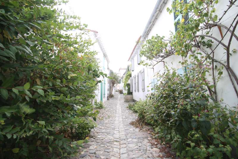 Photo 13: An accomodation located in Saint-Martin-de-Ré on ile de Ré.