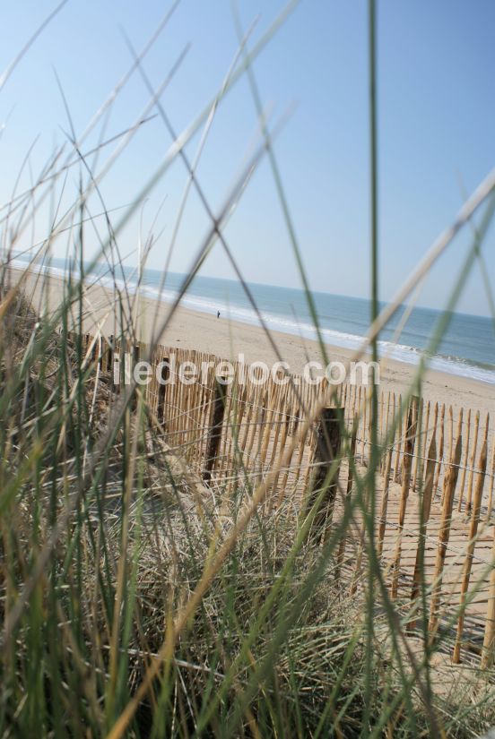 Photo 23: An accomodation located in Le Bois-Plage-en-Ré on ile de Ré.