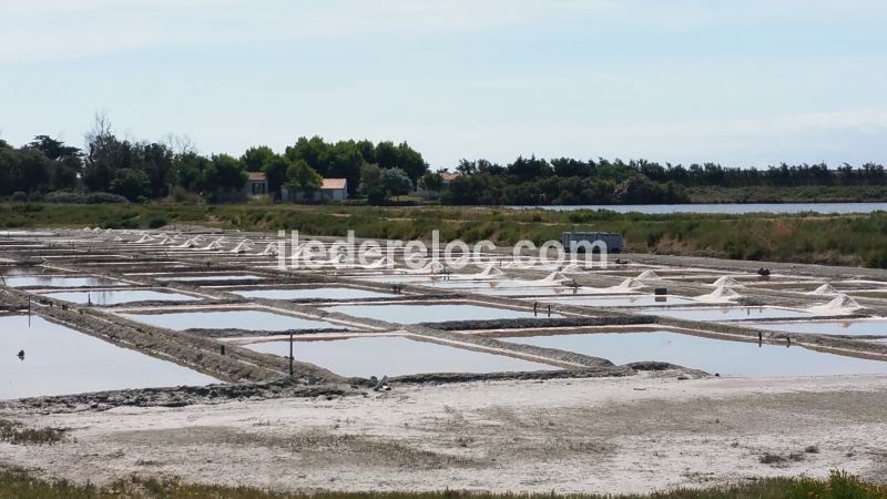 Photo 15: An accomodation located in Le Bois-Plage-en-Ré on ile de Ré.