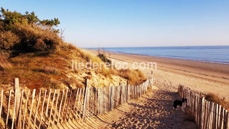 Photo 41: An accomodation located in La Couarde-sur-mer on ile de Ré.