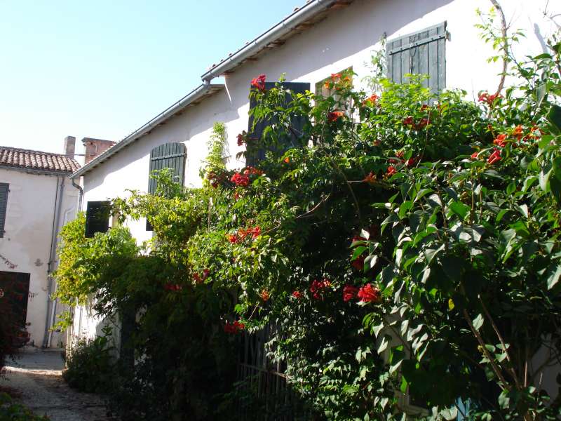 Photo 14: An accomodation located in Saint-Martin-de-Ré on ile de Ré.