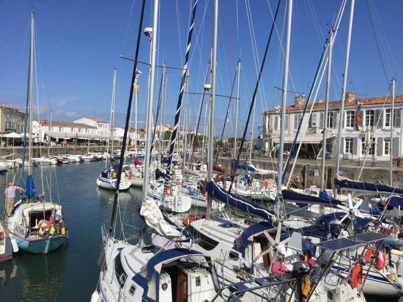 Photo 16: An accomodation located in Saint-Martin-de-Ré on ile de Ré.