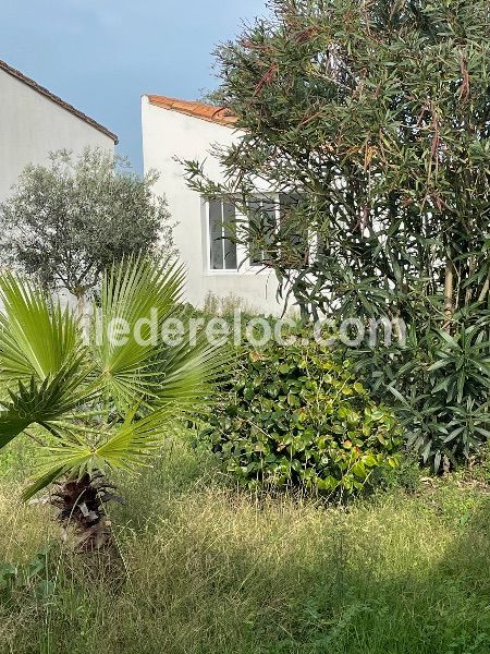 Photo 18: An accomodation located in Loix on ile de Ré.