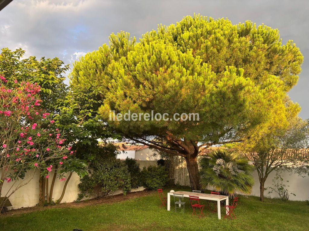 Photo 7: An accomodation located in Le Bois-Plage-en-R&eacute; on ile de R&eacute;.