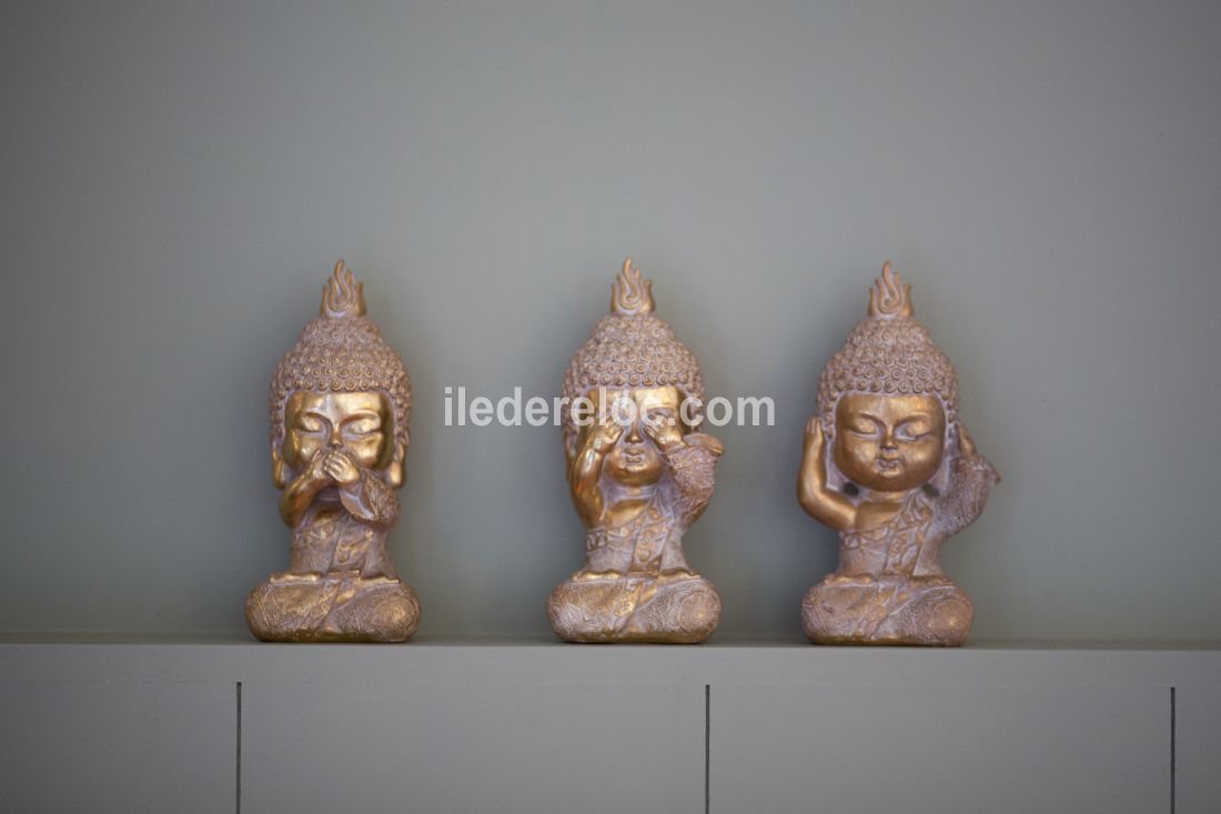 Photo 35: An accomodation located in Le Bois-Plage-en-R&eacute; on ile de R&eacute;.