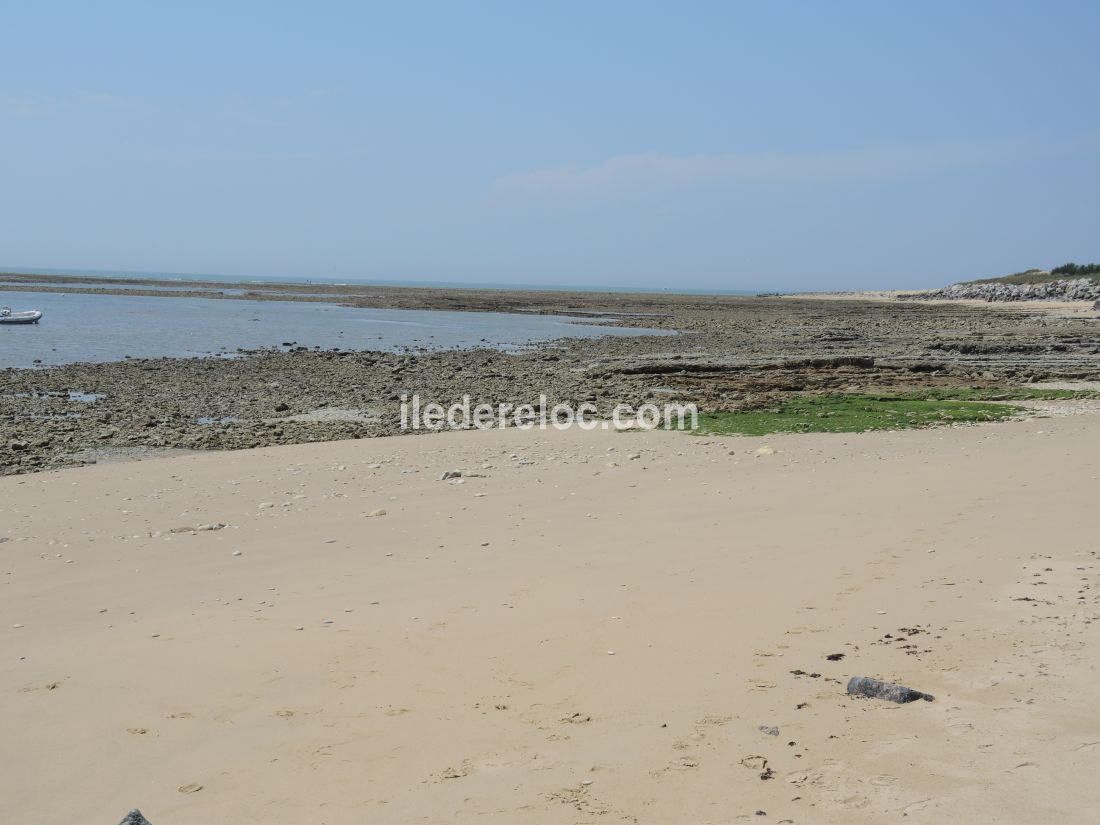 Photo 22: An accomodation located in Ars en R&eacute; on ile de R&eacute;.