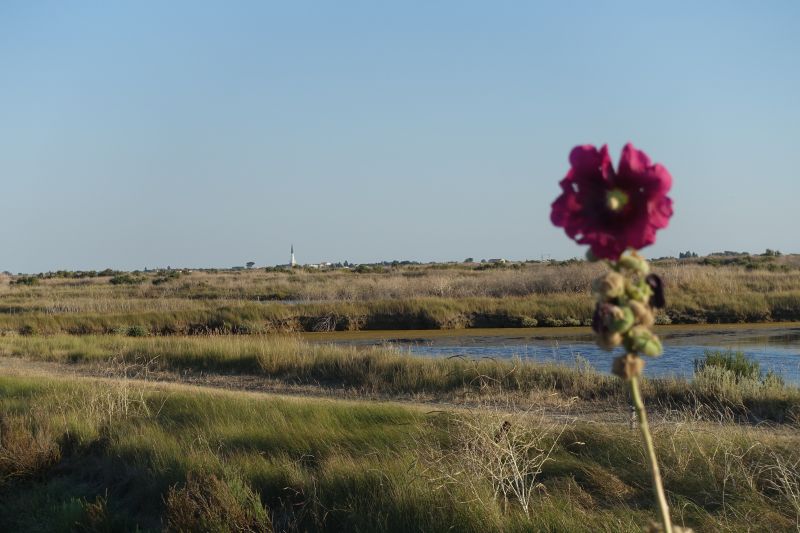 Photo 35: An accomodation located in Ars en Ré on ile de Ré.