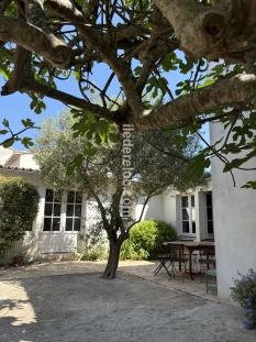 Ile de R&eacute;:Village house loix en re