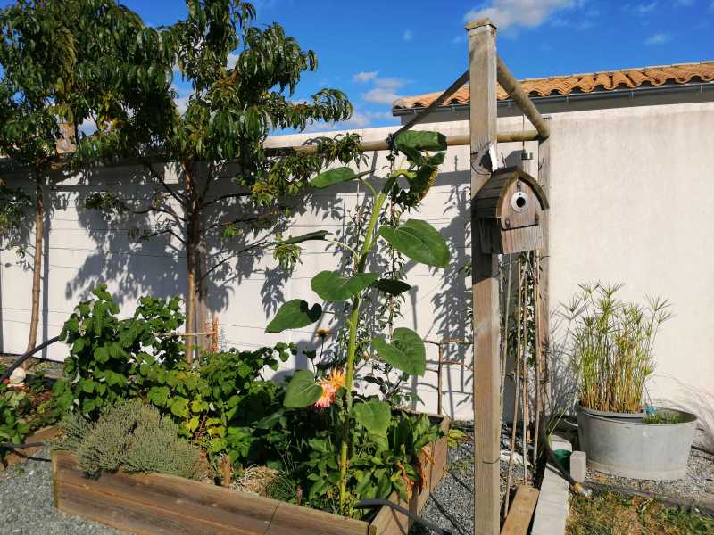 Photo 6: An accomodation located in Loix on ile de Ré.