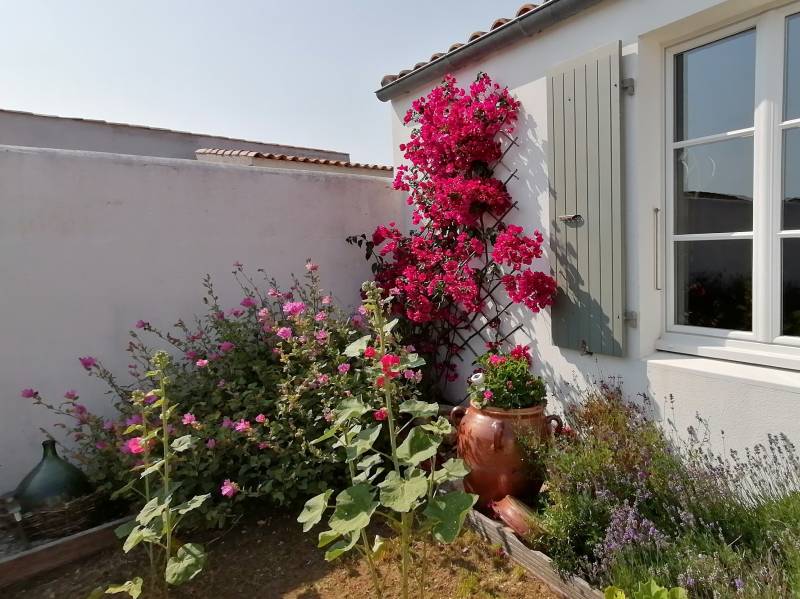 Photo 4: An accomodation located in Loix on ile de Ré.