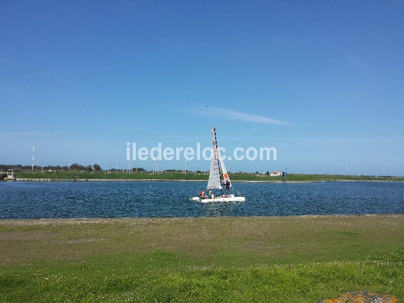 Photo 51: An accomodation located in La Couarde-sur-mer on ile de Ré.