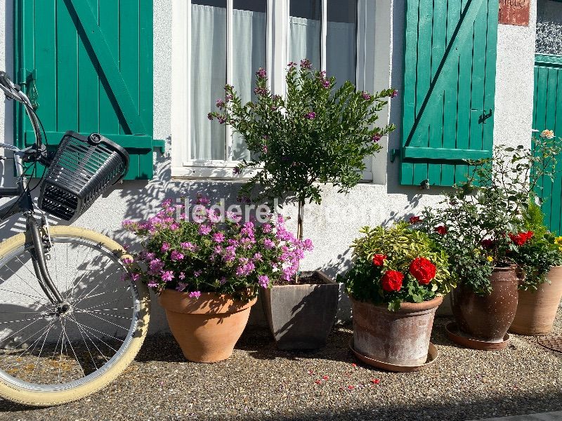 Photo 50: An accomodation located in La Couarde-sur-mer on ile de Ré.