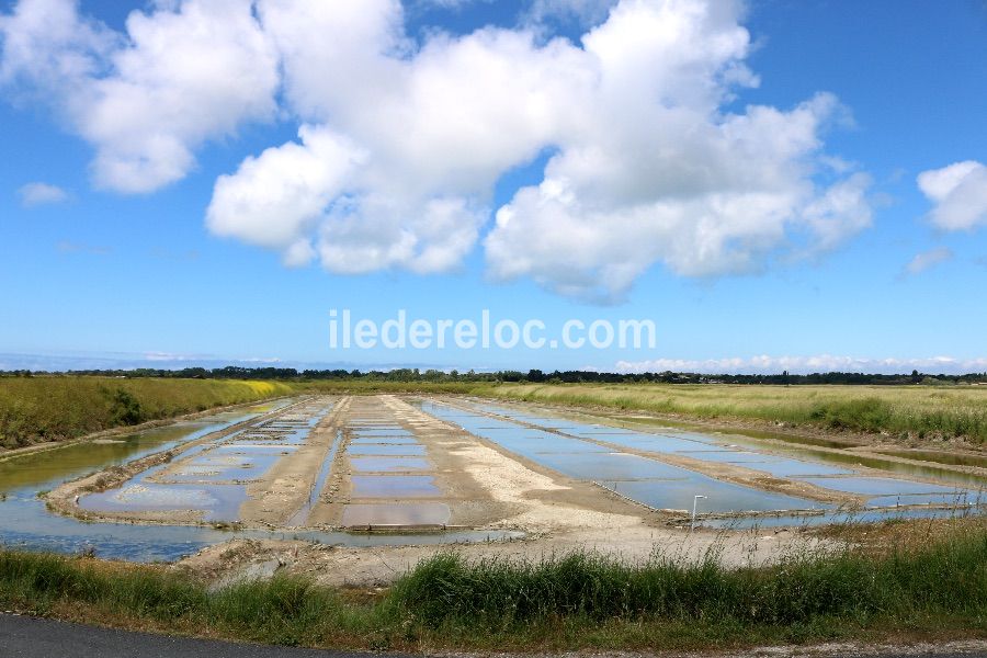 Photo 54: An accomodation located in La Couarde-sur-mer on ile de Ré.