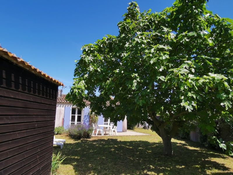 Photo 16: An accomodation located in Les Portes-en-Ré on ile de Ré.