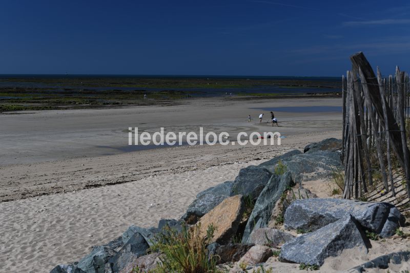 Photo 10: An accomodation located in La Couarde-sur-mer on ile de Ré.