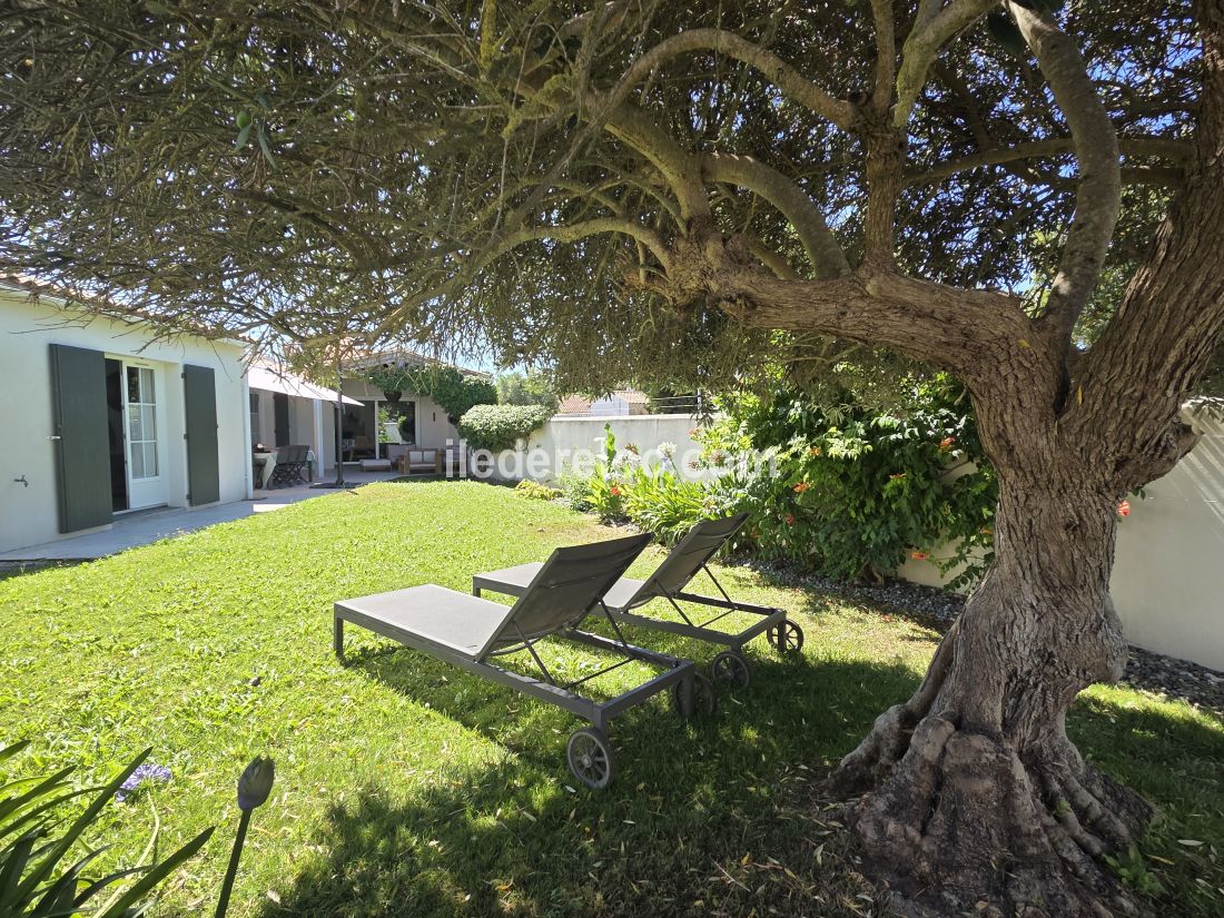 Photo 4: An accomodation located in La Couarde-sur-mer on ile de R&eacute;.
