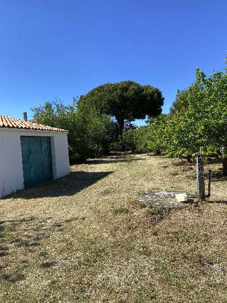 Photo 4: An accomodation located in La Couarde-sur-mer on ile de Ré.