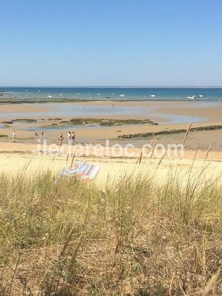 Photo 19: An accomodation located in Loix on ile de Ré.