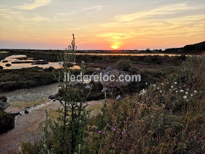 Photo 21: An accomodation located in Loix on ile de Ré.