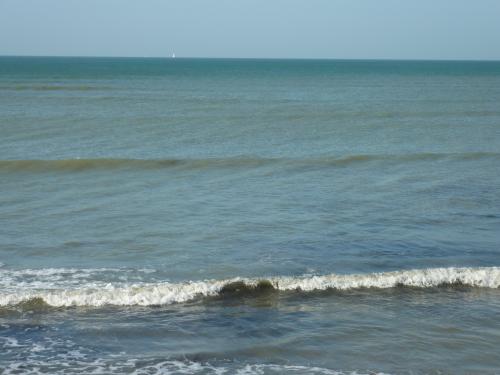 Photo 1: An accomodation located in Sainte-Marie-de-Ré on ile de Ré.