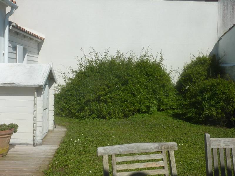 Photo 21: An accomodation located in Sainte-Marie-de-Ré on ile de Ré.