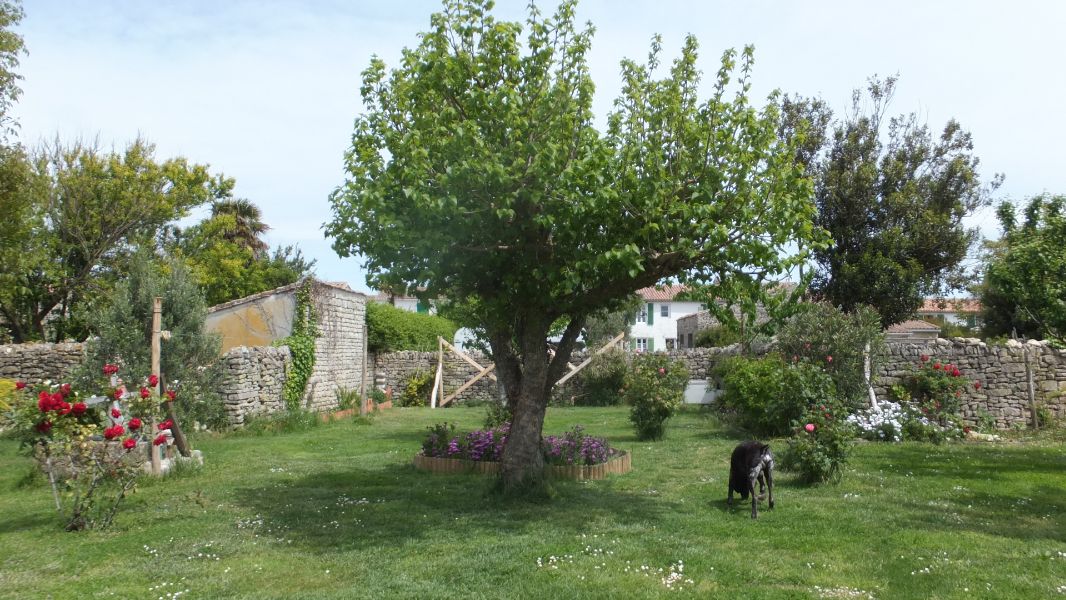 Photo 17: An accomodation located in Ars en Ré on ile de Ré.