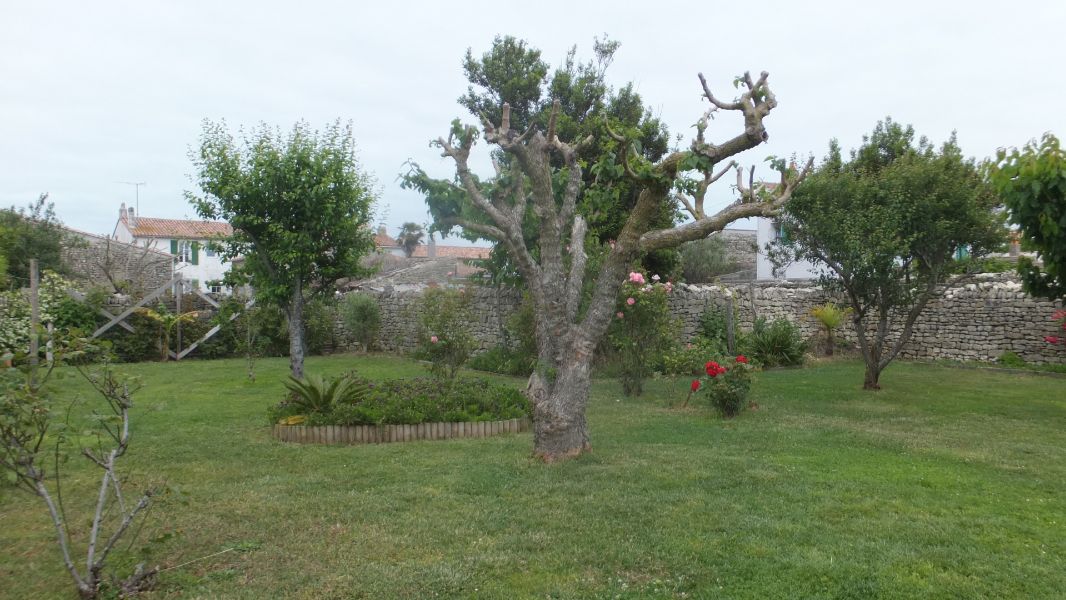 Photo 23: An accomodation located in Ars en Ré on ile de Ré.