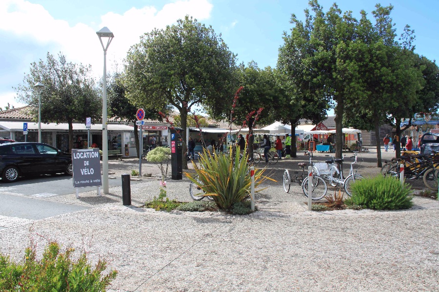 Photo 14: An accomodation located in Sainte-Marie-de-Ré on ile de Ré.