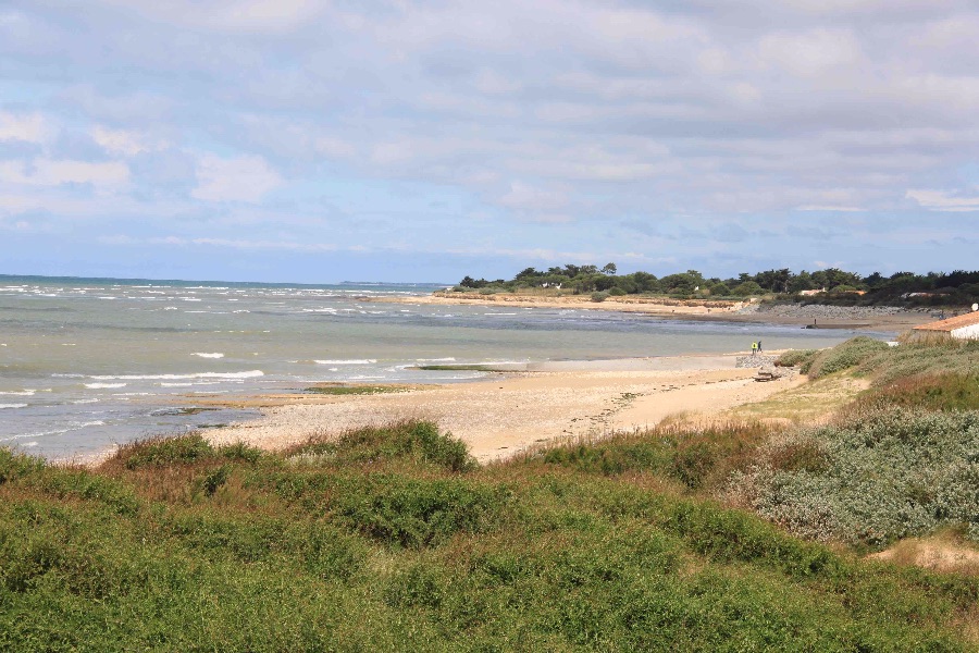 Photo 15: An accomodation located in Sainte-Marie-de-Ré on ile de Ré.