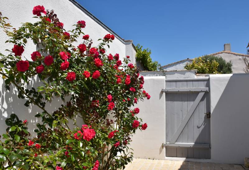 Photo 14: An accomodation located in Loix on ile de Ré.