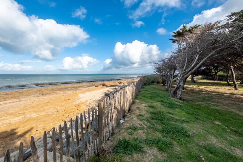 Photo 4: An accomodation located in Les Portes-en-Ré on ile de Ré.