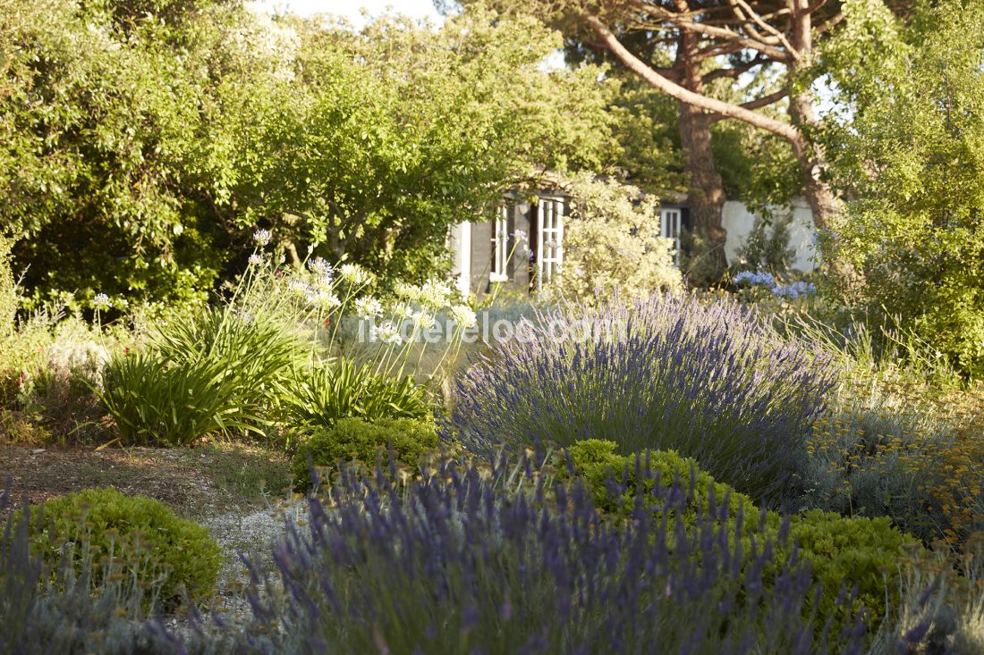 Photo 7: An accomodation located in Loix on ile de Ré.