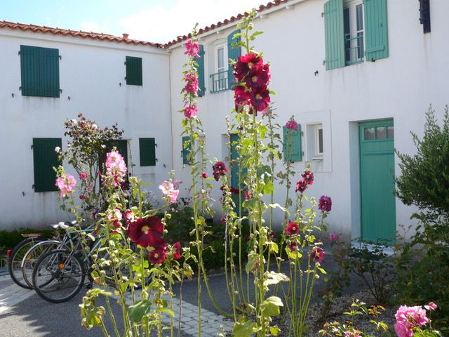 Photo 19: An accomodation located in Ars en Ré on ile de Ré.