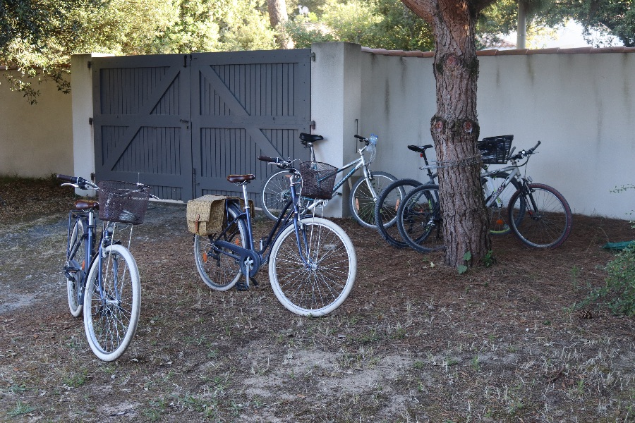 Photo 13: An accomodation located in La Couarde-sur-mer on ile de Ré.