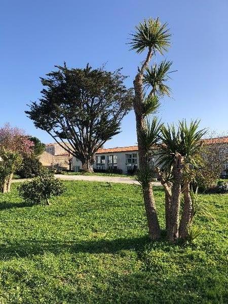 Photo 39: An accomodation located in Saint-Martin-de-Ré on ile de Ré.