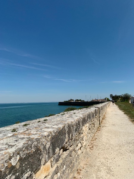 Photo 19: An accomodation located in Saint-Martin-de-Ré on ile de Ré.