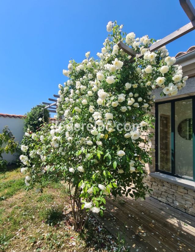 Photo 35: An accomodation located in La Couarde-sur-mer on ile de Ré.