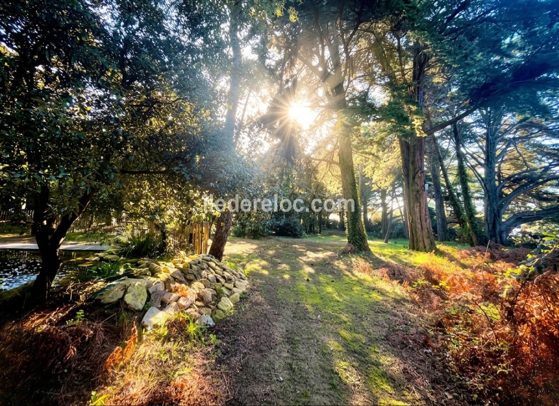 Photo 64: An accomodation located in Le Bois-Plage-en-R&eacute; on ile de R&eacute;.
