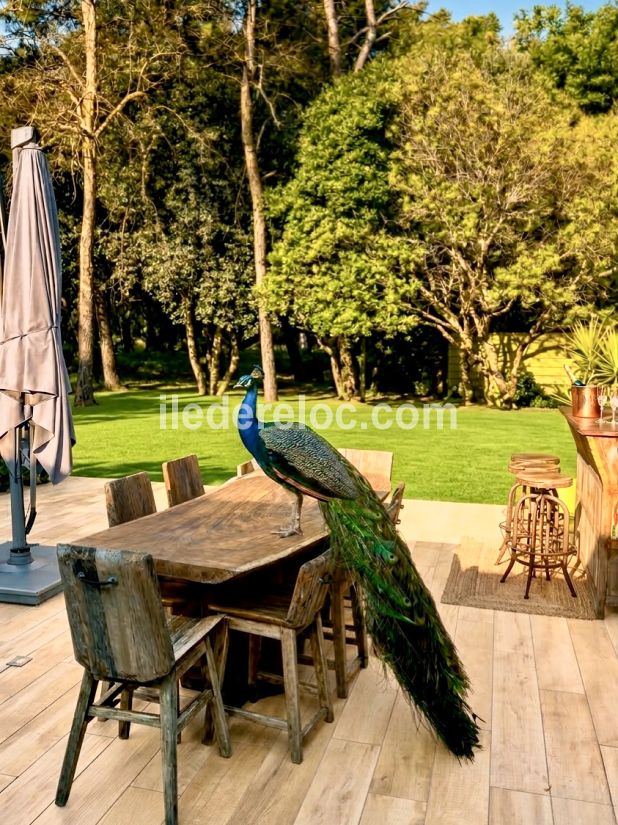 Photo 52: An accomodation located in Le Bois-Plage-en-R&eacute; on ile de R&eacute;.