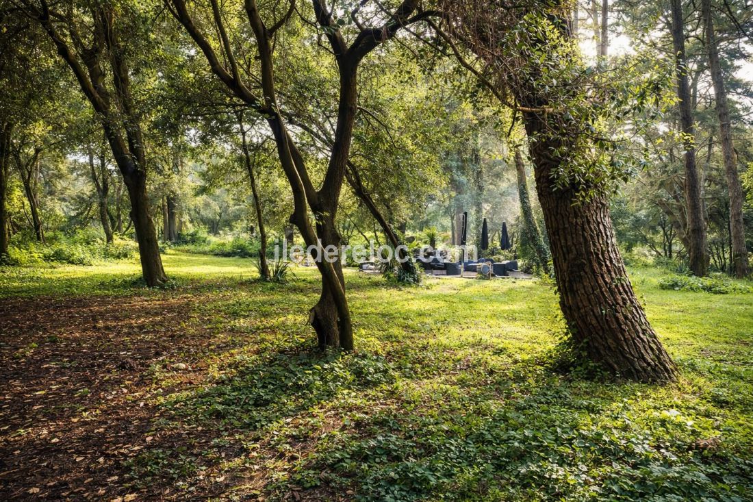 Photo 75: An accomodation located in Le Bois-Plage-en-R&eacute; on ile de R&eacute;.
