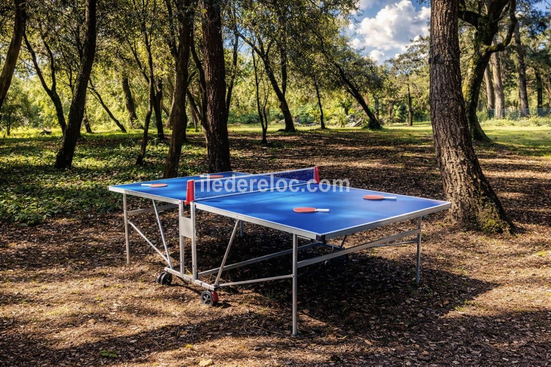 Photo 86: An accomodation located in Le Bois-Plage-en-R&eacute; on ile de R&eacute;.