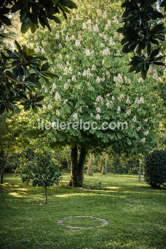 Photo 76: An accomodation located in Le Bois-Plage-en-R&eacute; on ile de R&eacute;.