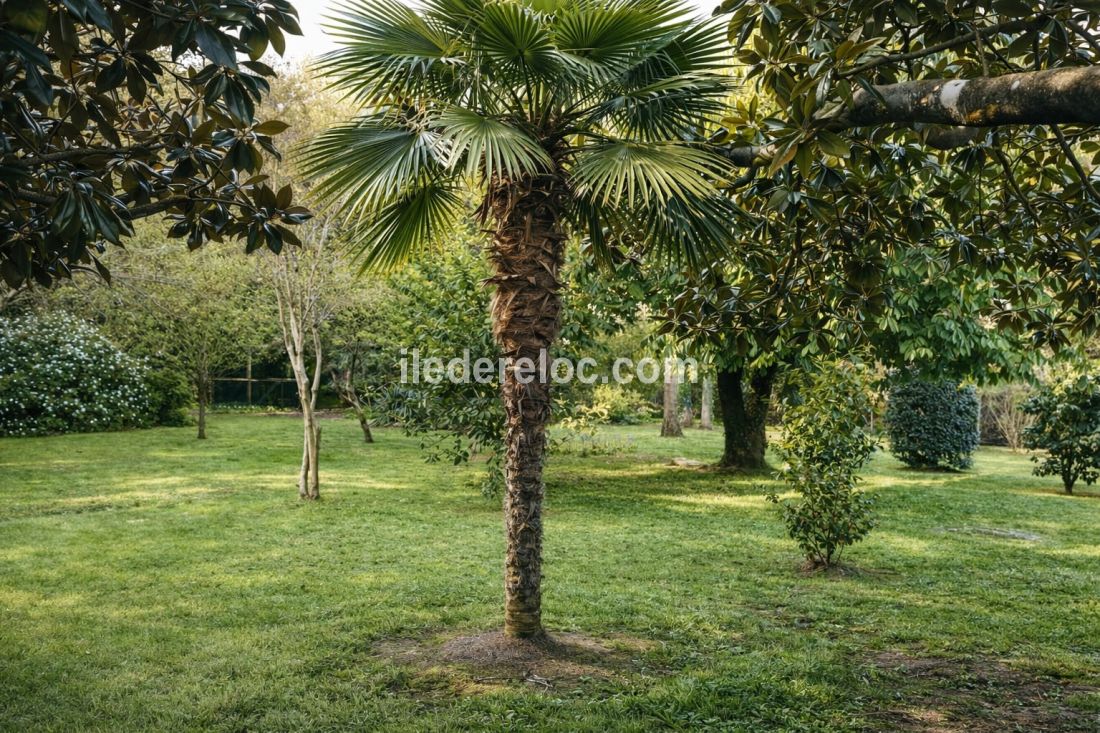 Photo 80: An accomodation located in Le Bois-Plage-en-R&eacute; on ile de R&eacute;.