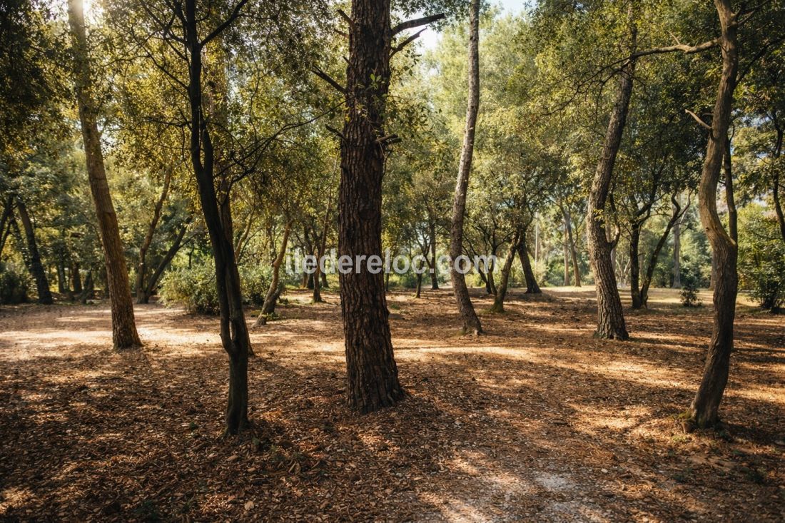 Photo 72: An accomodation located in Le Bois-Plage-en-R&eacute; on ile de R&eacute;.