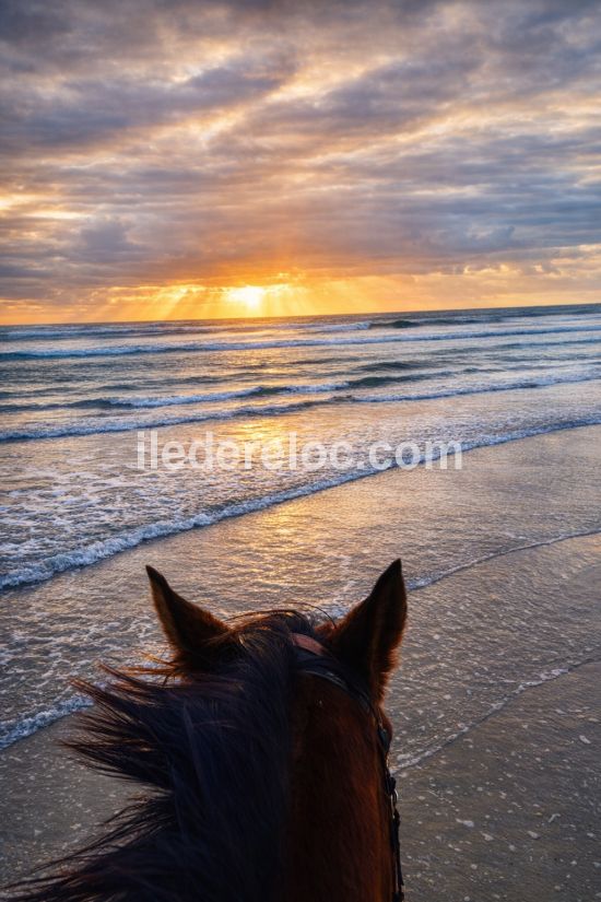 Photo 93: An accomodation located in Le Bois-Plage-en-R&eacute; on ile de R&eacute;.