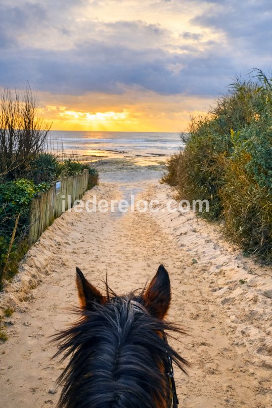 Photo 94: An accomodation located in Le Bois-Plage-en-R&eacute; on ile de R&eacute;.