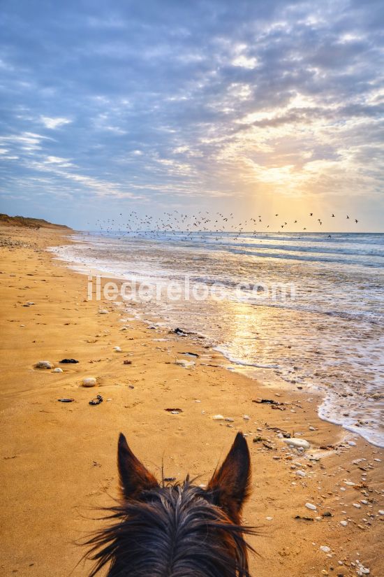 Photo 95: An accomodation located in Le Bois-Plage-en-R&eacute; on ile de R&eacute;.